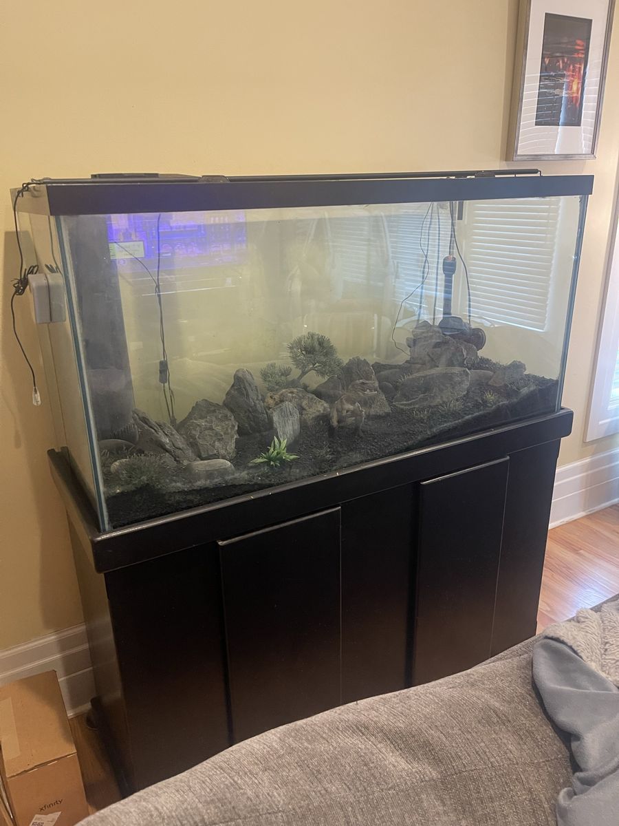 90 gallon tank w/ 30g sump