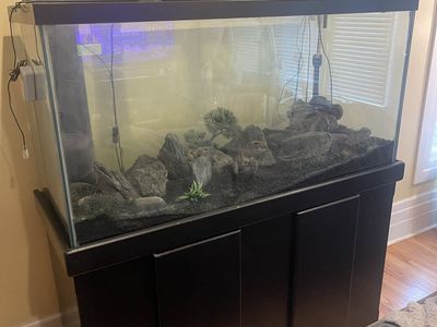 90 gallon tank w/ 30g sump