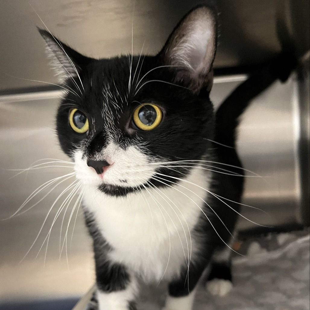 Hello my name is Pippa