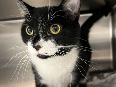 Hello my name is Pippa