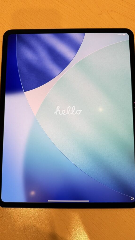 iPad Pro 13in (M4) 1TB wifi+cellular