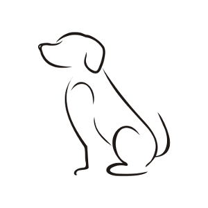 Hello my name is Buuz