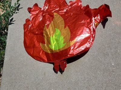 flame party balloons 6 total