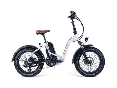 Rad Power Electric Bike