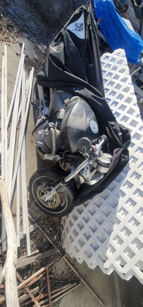 2004 honda hornet 