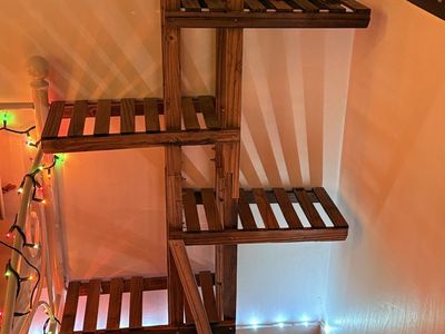 Wooden Plant Shelves