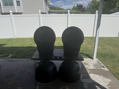 2 Litter-Robot 4s with LittleHoppers