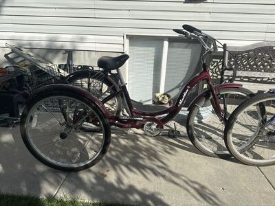 Schwinn Meridian Aluminum Tricycle