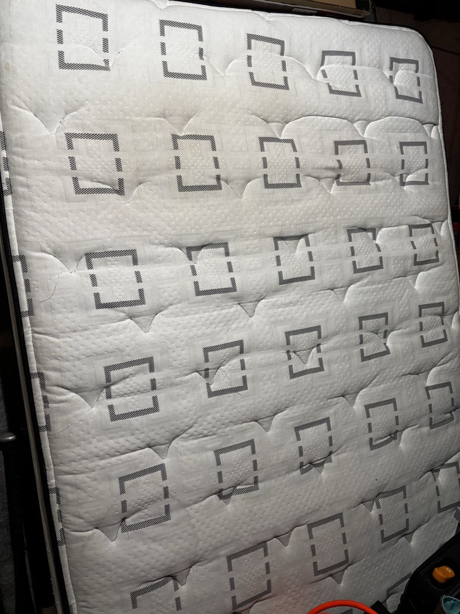 Matress and box spring (free)