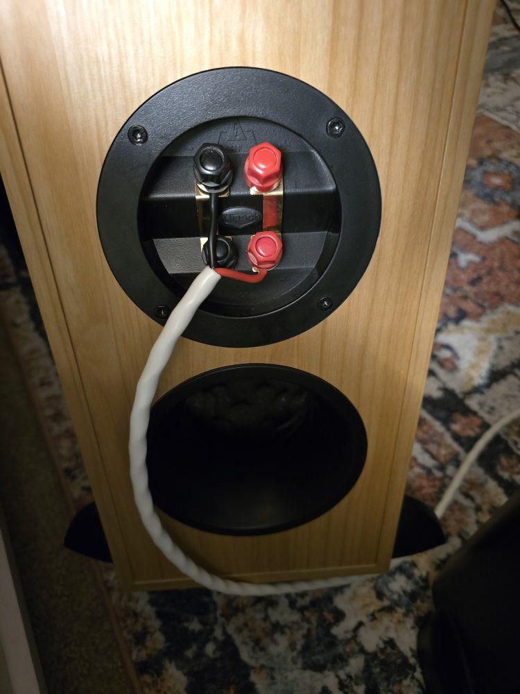 Main image 5