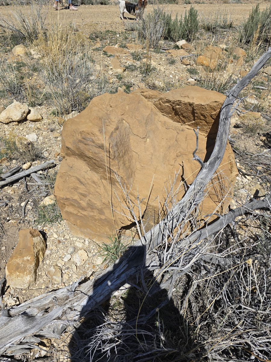 Natural Landscape Landscaping Boulder Stone Rock