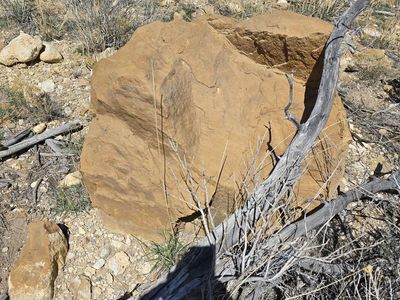 Natural Landscape Landscaping Boulder Stone Rock