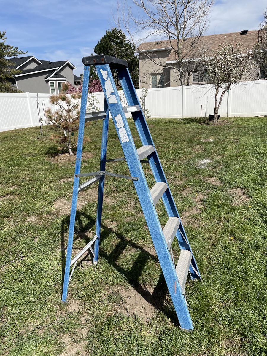 6' Ladder