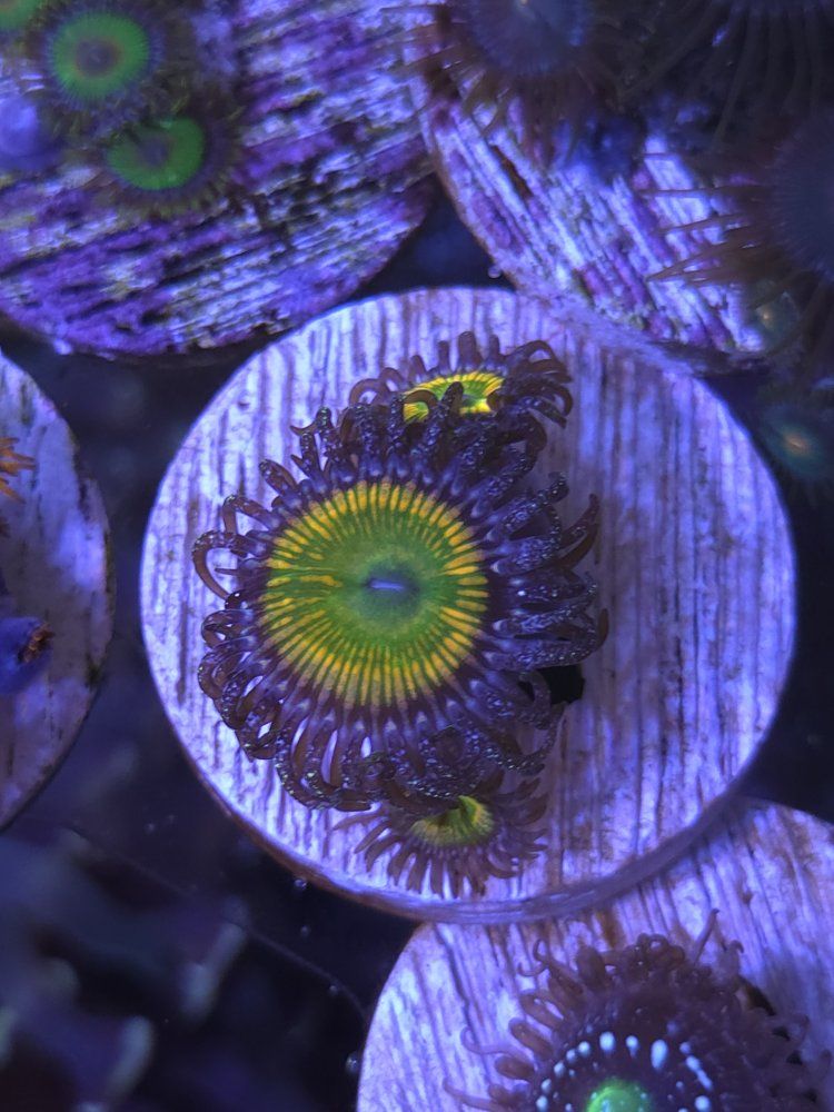 Main image 6