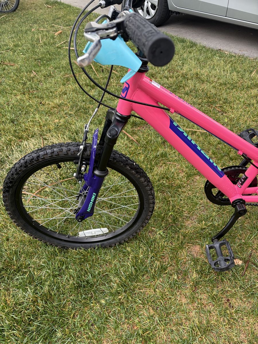 Nishiki hard tail 20” bikes