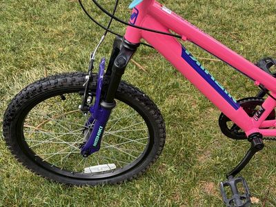 Nishiki hard tail 20” bikes