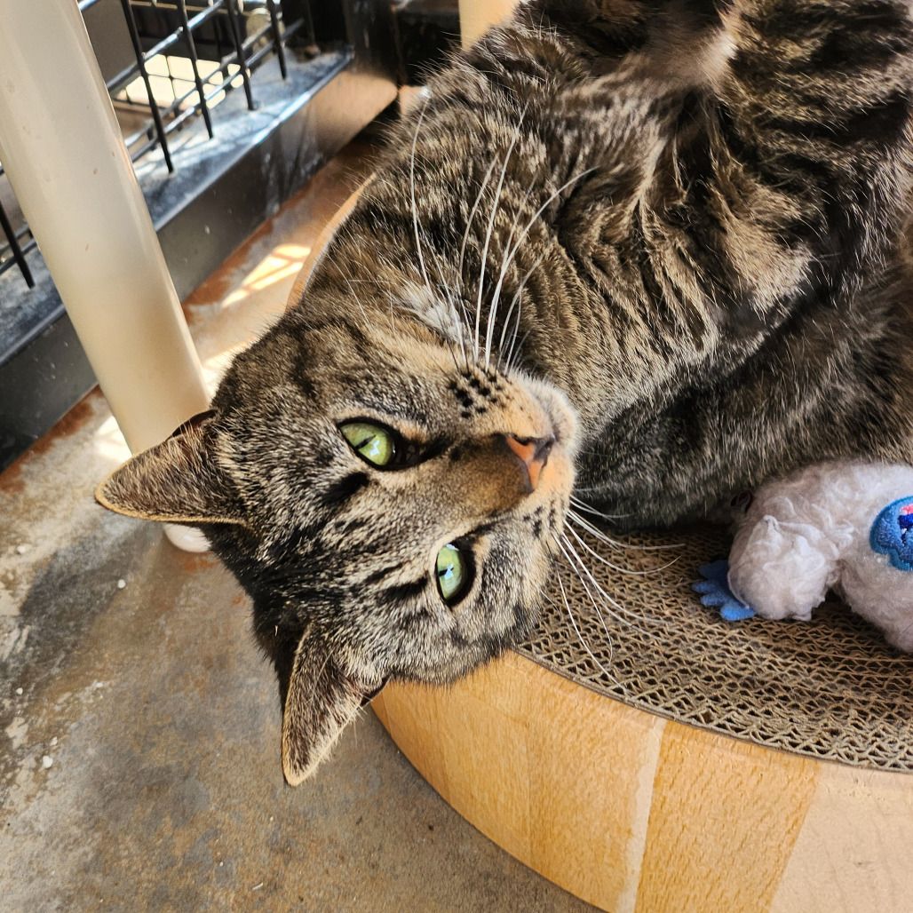 Hello my name is Edie