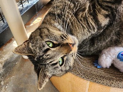 Hello my name is Edie