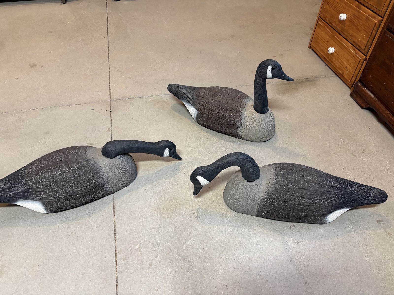 Old School Goose Shells