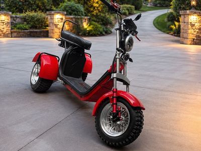 Seabass 3-Wheel Electric Scooter – Dual 2000W Motors – 40+ Mile Range
