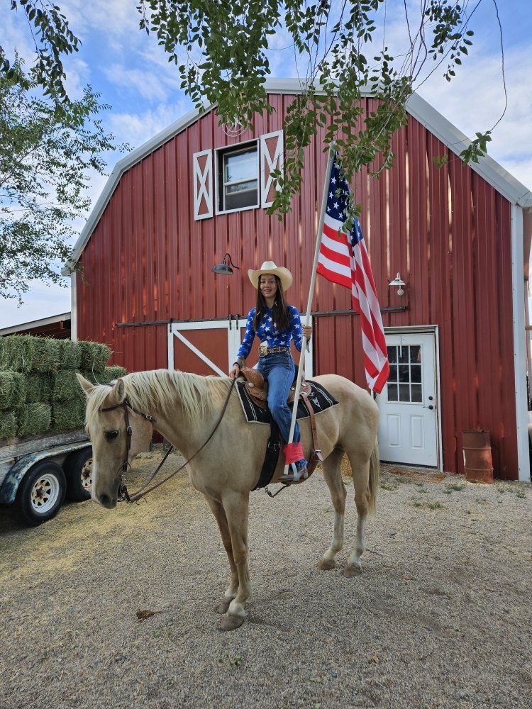 horse boarding sale