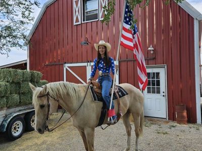 horse boarding sale