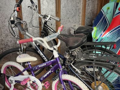 Bikes - 2 adult specialized mountain bikes and 1 kids bike