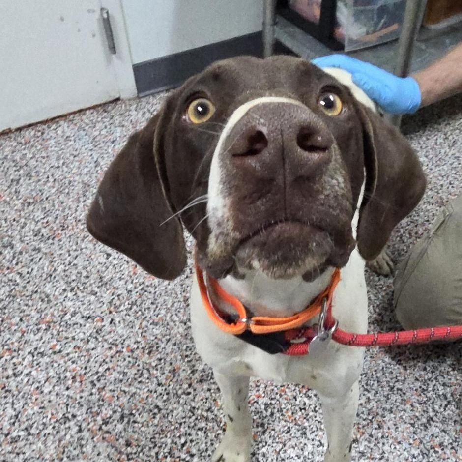 Hello my name is Clyde