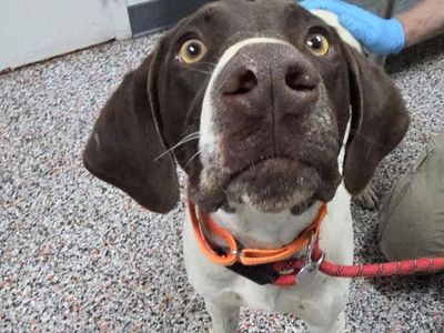 Hello my name is Clyde