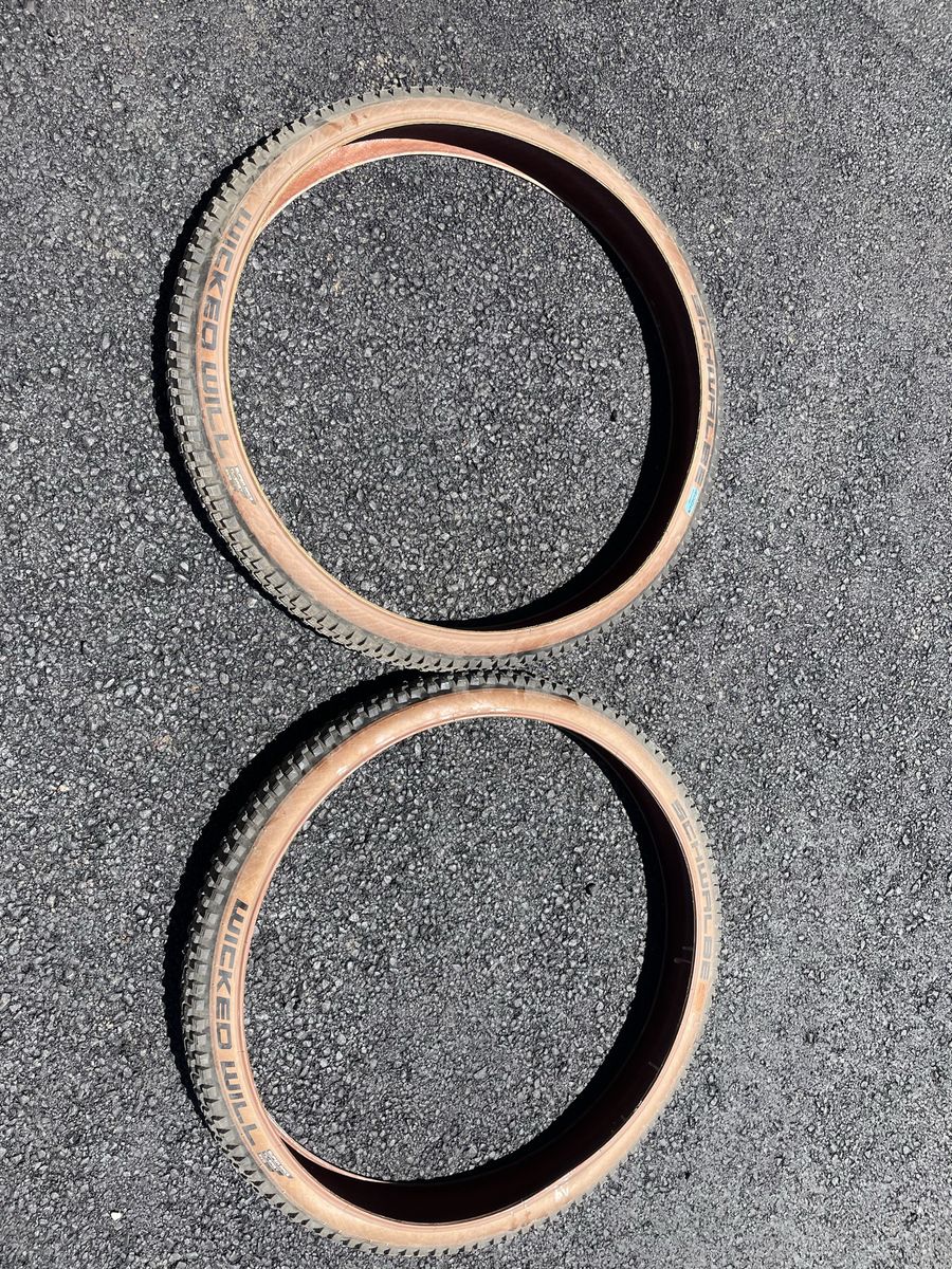 Two Schwalbe Wicked TL 29x2.4 mountain bike tires.