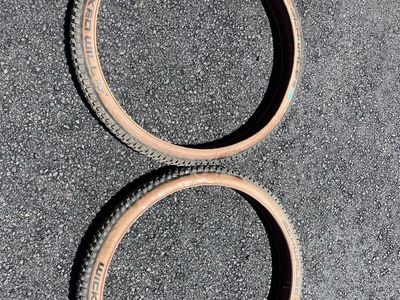Two Schwalbe Wicked TL 29x2.4 mountain bike tires.