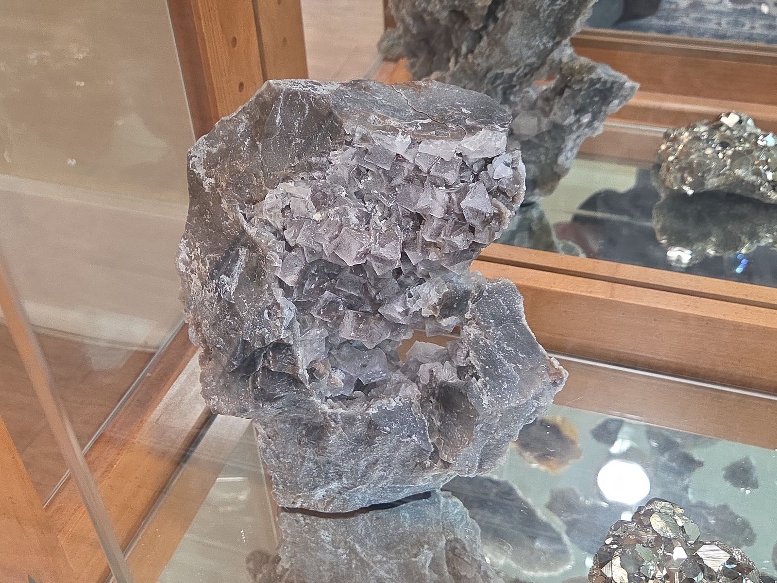 Main image 11