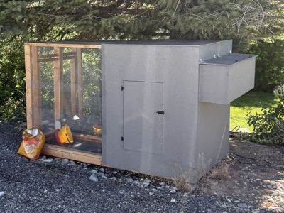Large Chicken Coop with Enclosed Run and Nesting Boxes - Ready for Your Flock!