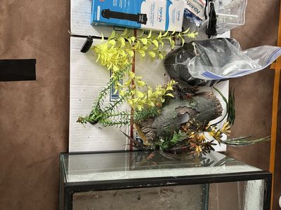 10 gallon fish aquarium tank