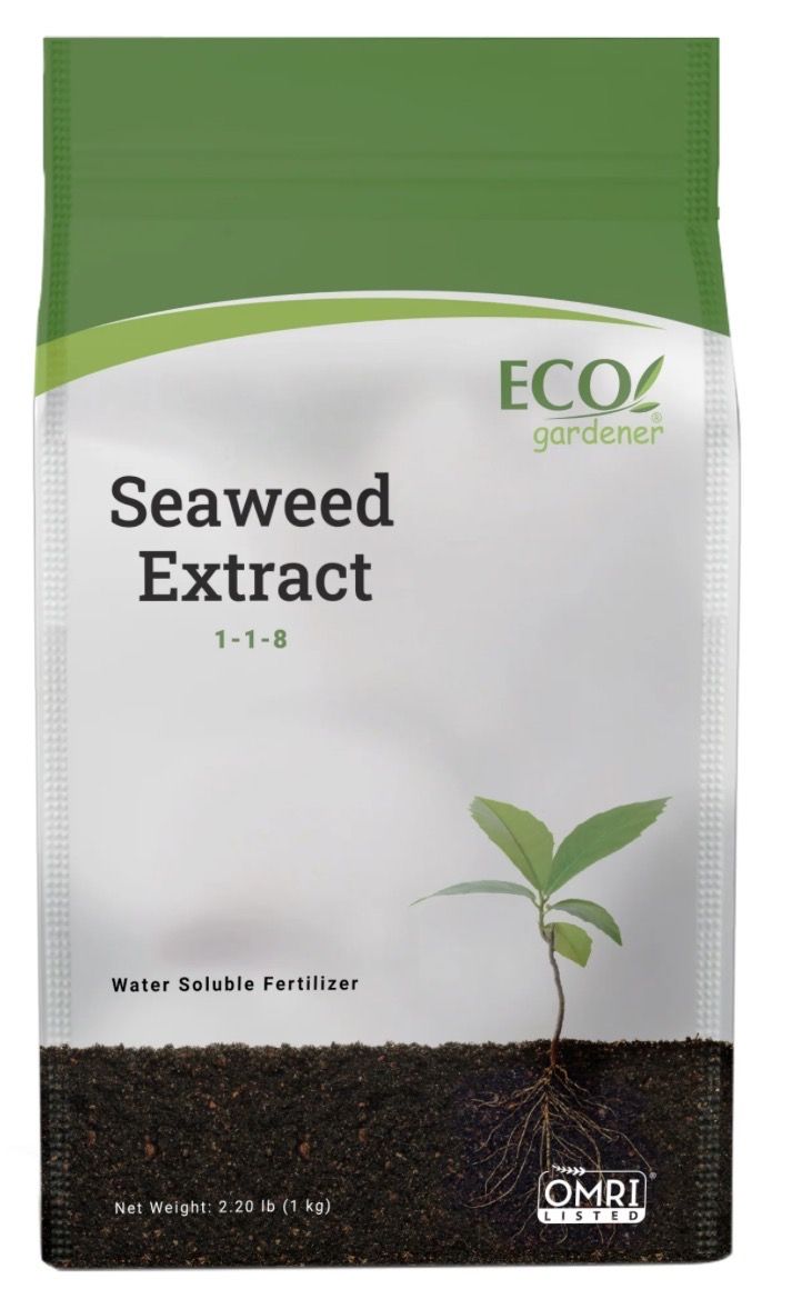Wholesale Pricing Organic SeaweedExtractFertilizer