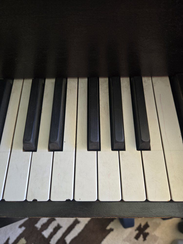 Main image 3