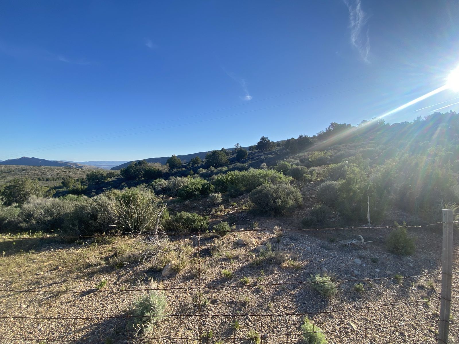 Main image 22