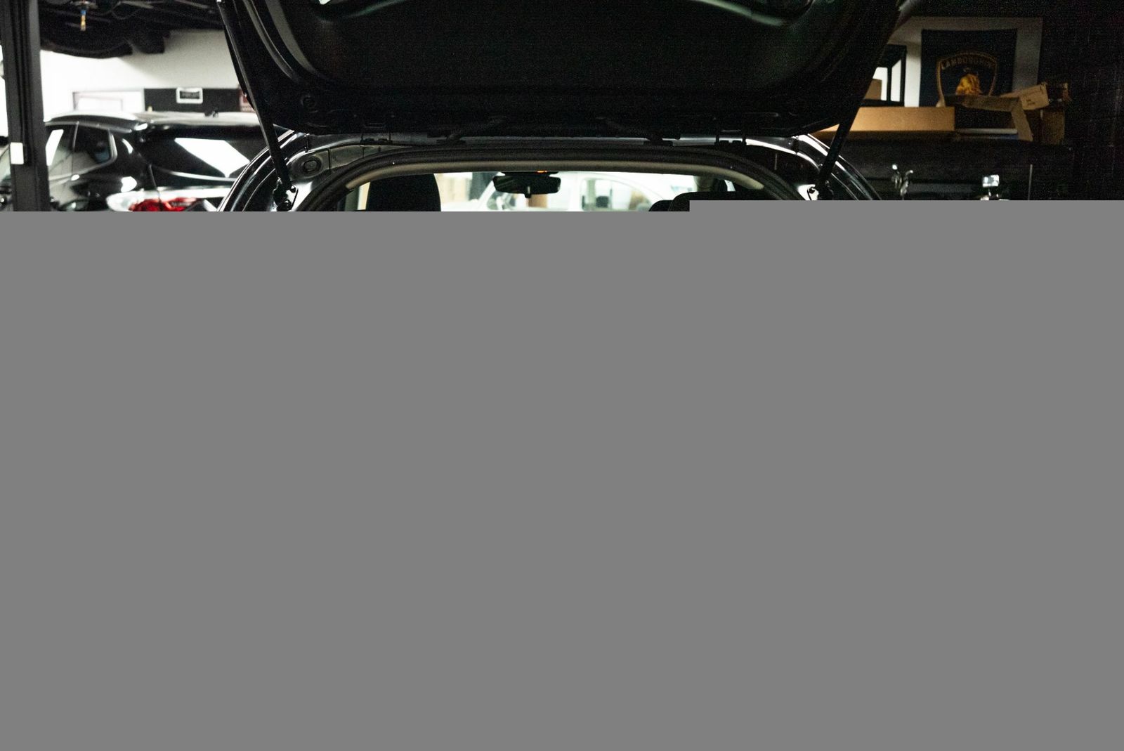 Main image 7