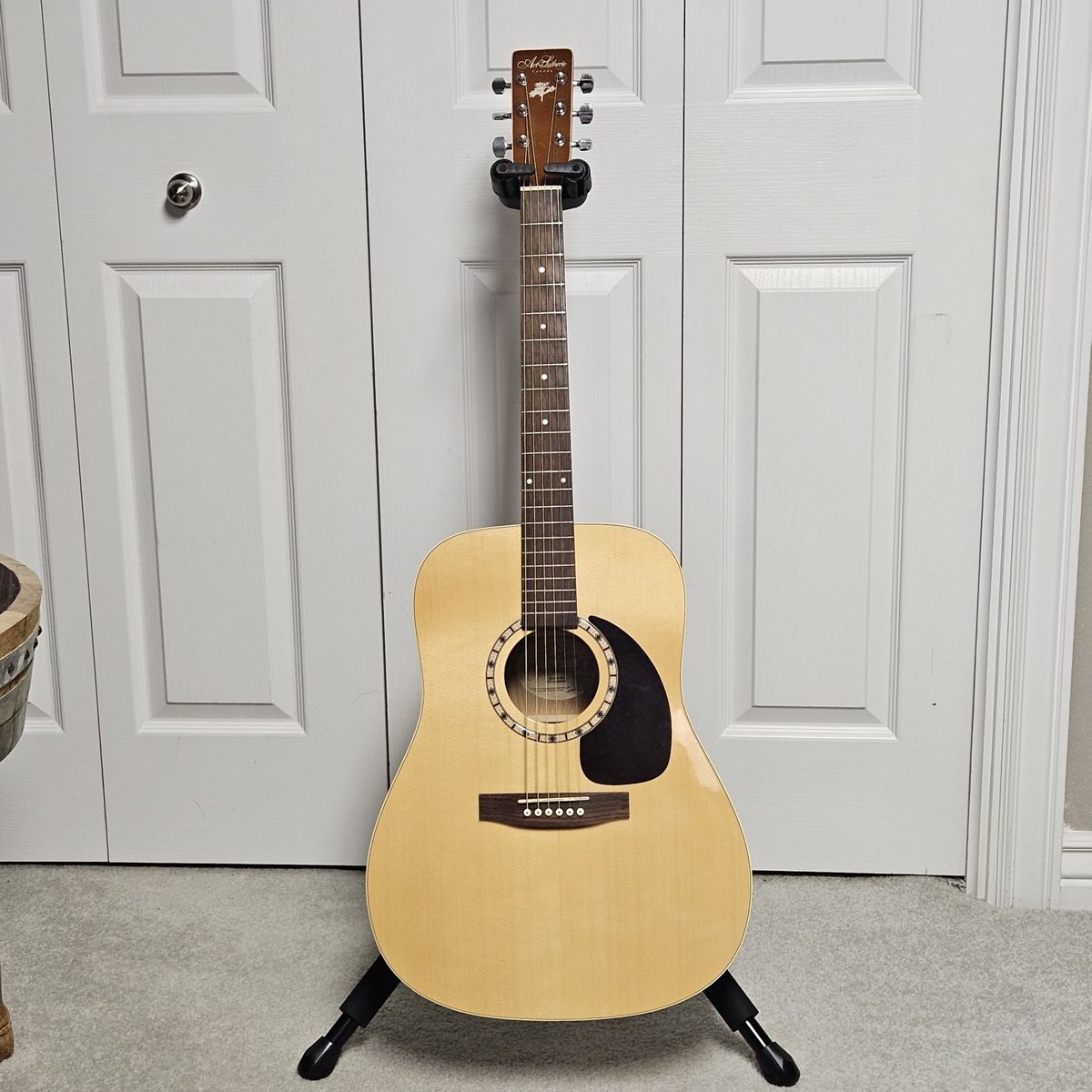 Godin Acustic guitar