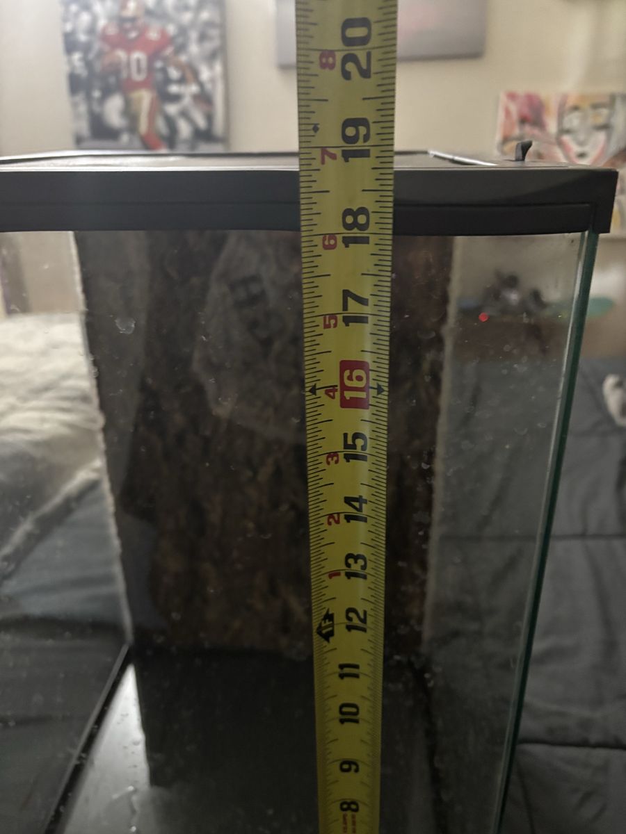 Main image 4