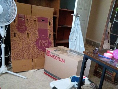 packing assistance needed $20 hour