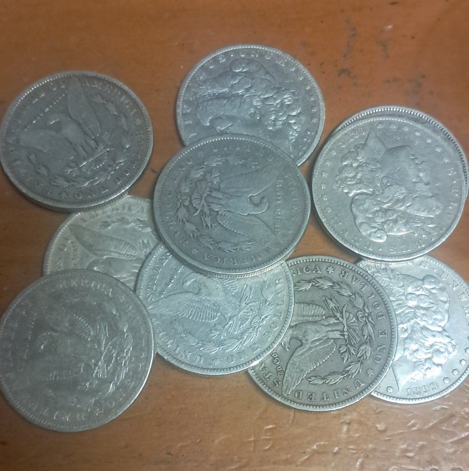 Morgan Silver Dollars