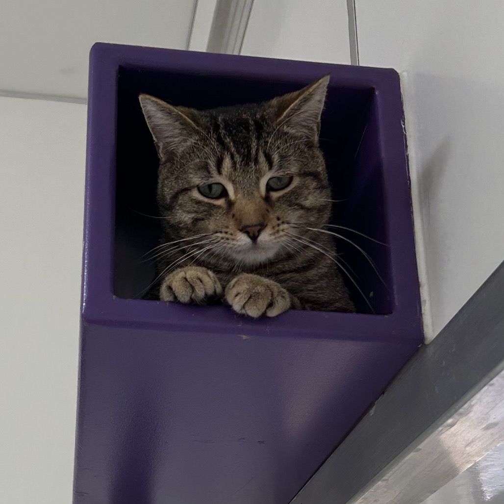 Hello my name is Magnus
