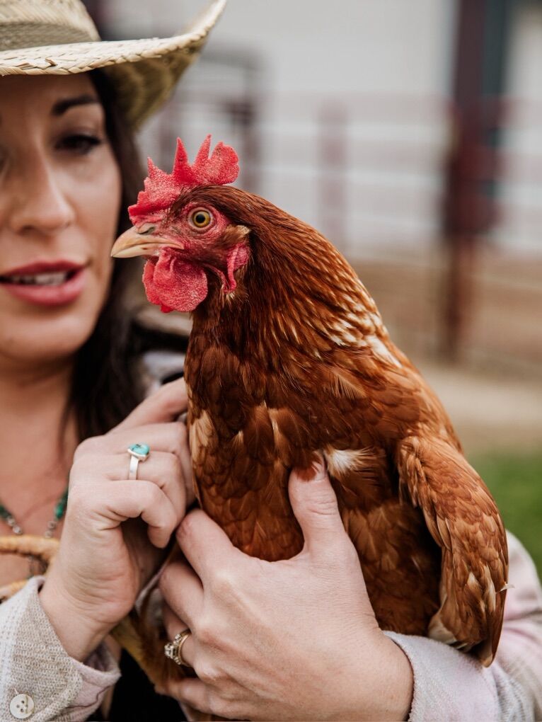 Do you have unwanted farm animals?