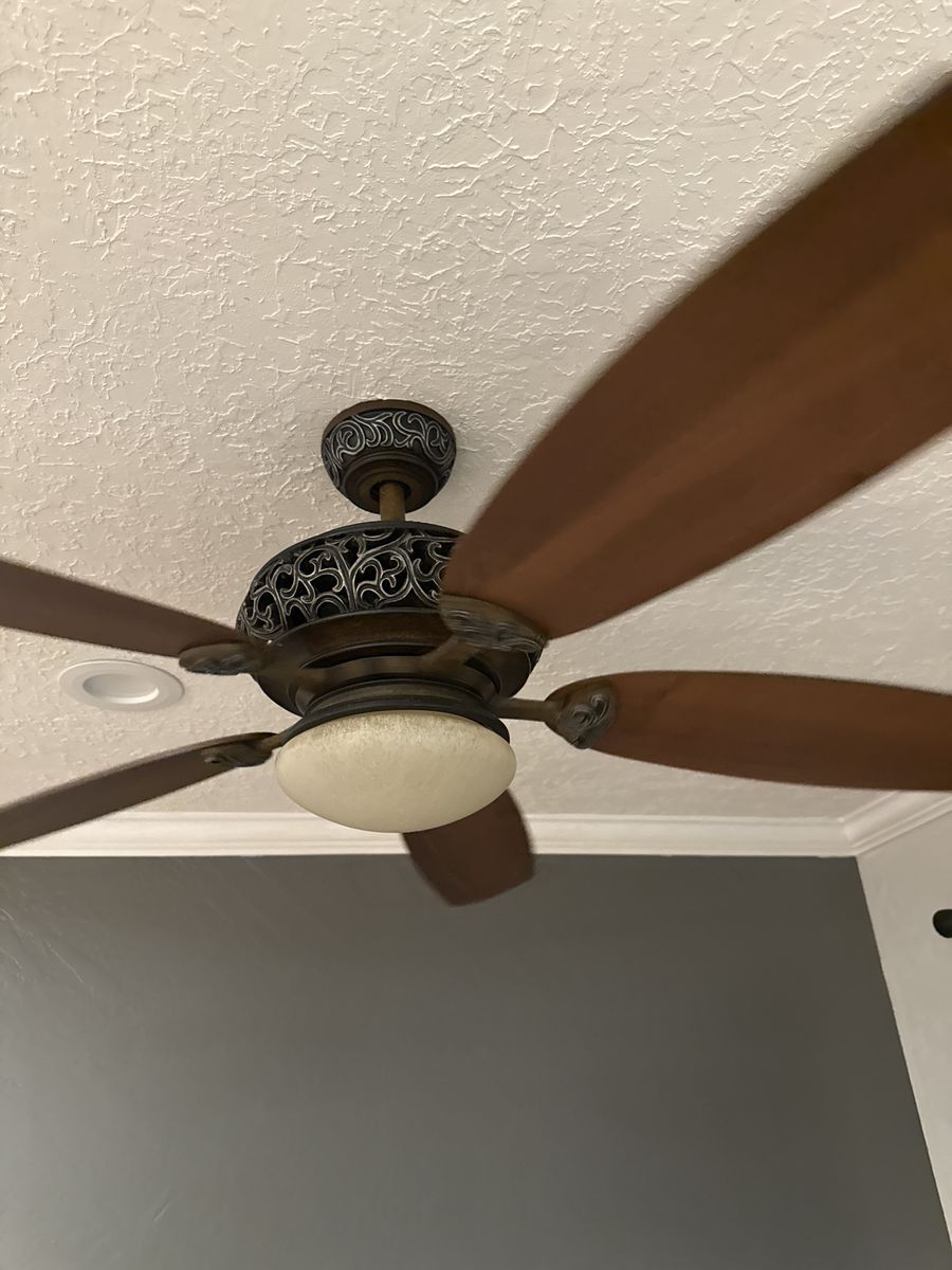 Ceiling fan