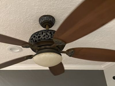 Ceiling fan