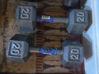 20 lb dumbbells