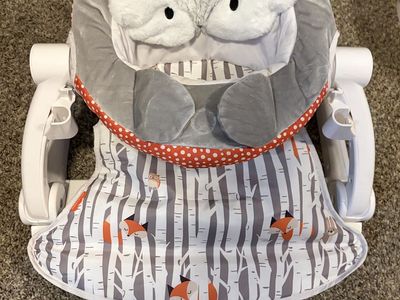 Cute Woodland Animal Baby Sit-Me-Up Floor Seat - Fox/Wolf Design with Support