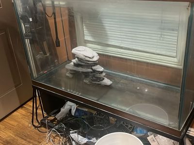 110 gallon fish tank