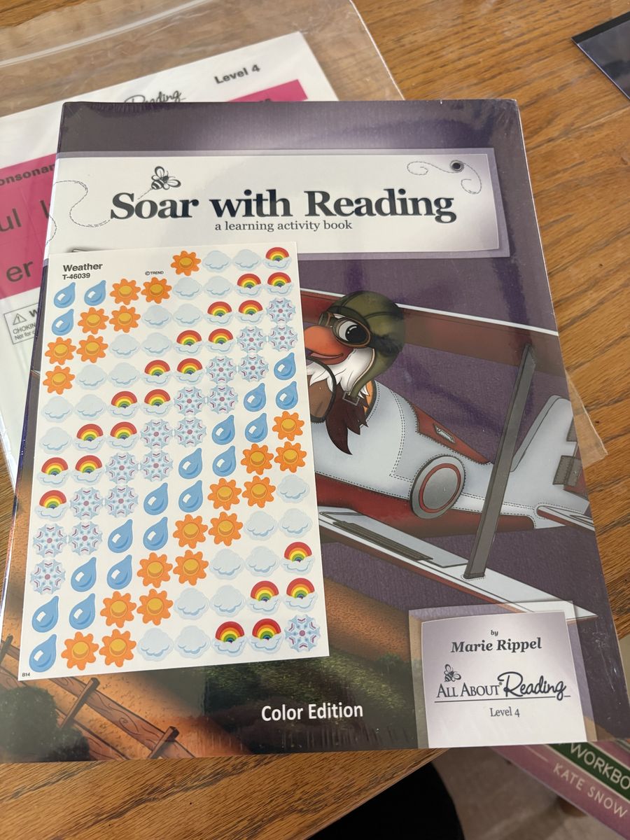 All About Reading Soar with Reading Activity Book Level 4 Color Edition Marie Rippel
